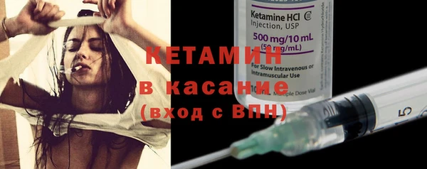 гидра Вязьма