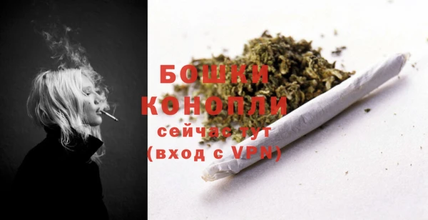 гидра Вязьма