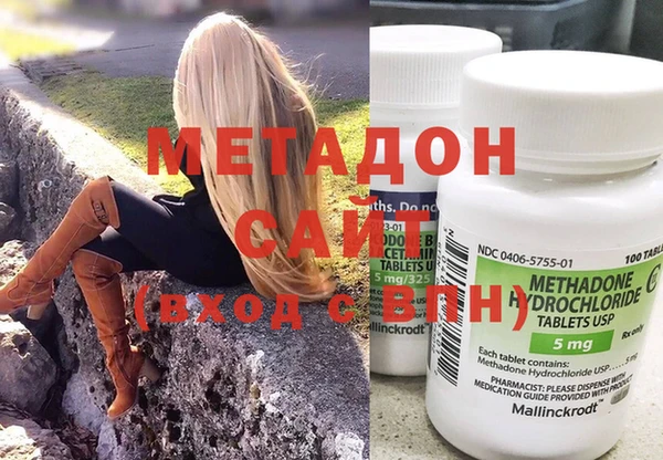 гидра Вязьма