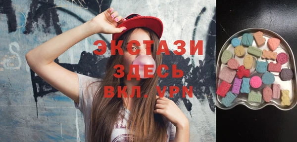 гидра Вязьма
