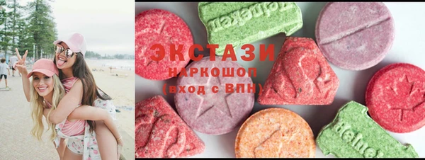 гидра Вязьма