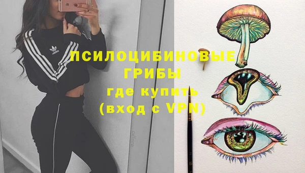 гидра Вязьма