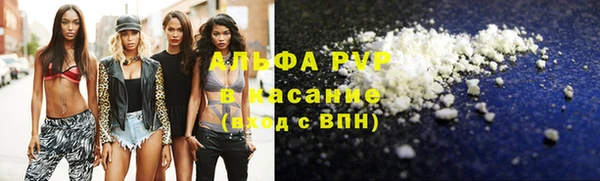 гидра Вязьма